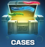 Cases