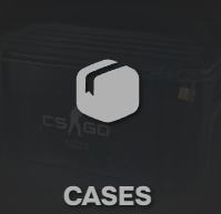 CSBattle Cases