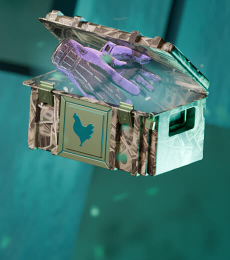 Chicken.gg Cases