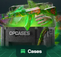 Cases