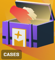 Cases