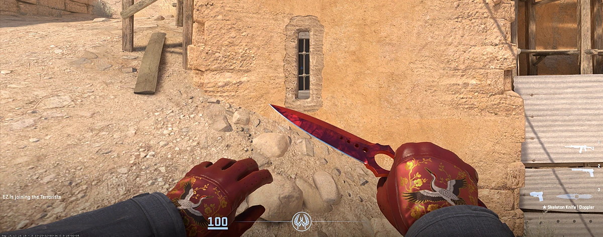 Driver Gloves Brocade Crane with Skeleton Knife | Ruby in CS2