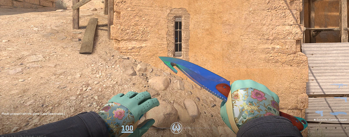 Driver Gloves Brocade Flowers with Gut Knife | Gamma Doppler Phase 1 in CS2