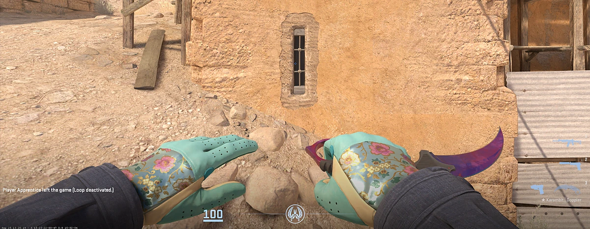 Driver Gloves Brocade Flowers with Karambit | Doppler Phase 3 in CS2