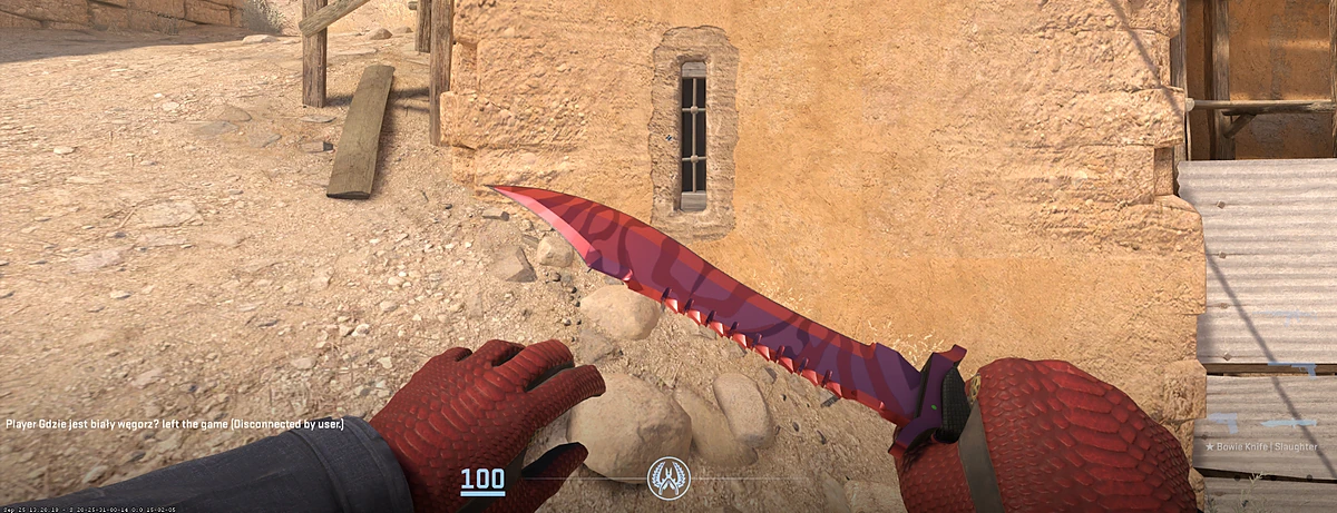 Driver Gloves Dragon Fists with Bowie Knife | Slaughter in CS2