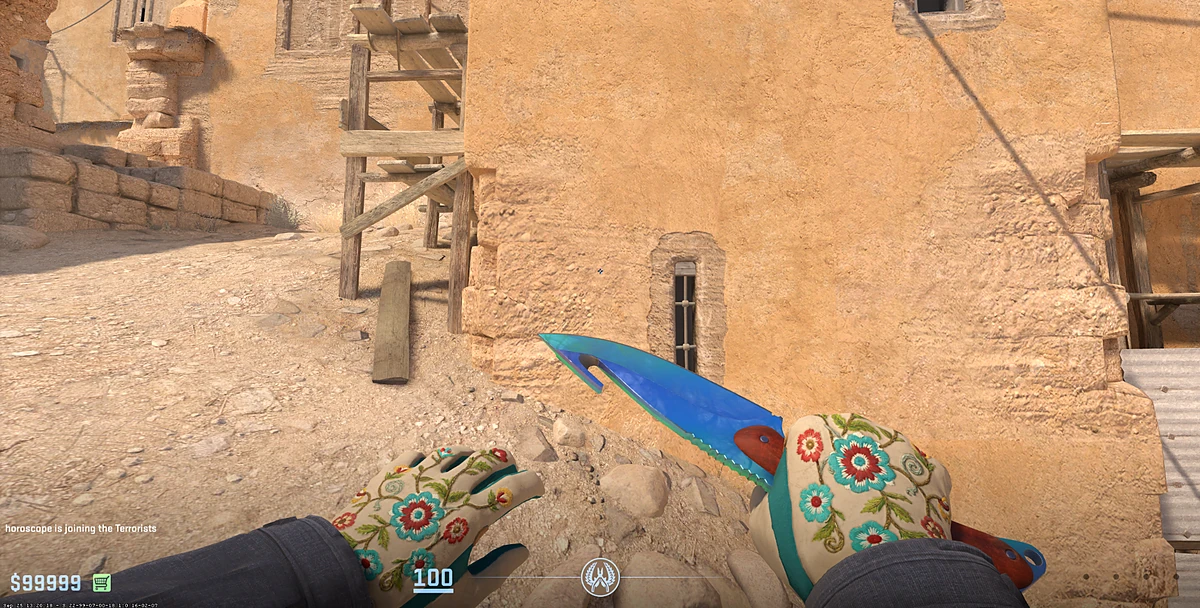 Driver Gloves Garden with Gut Knife | Gamma Doppler Phase 1 in CS2
