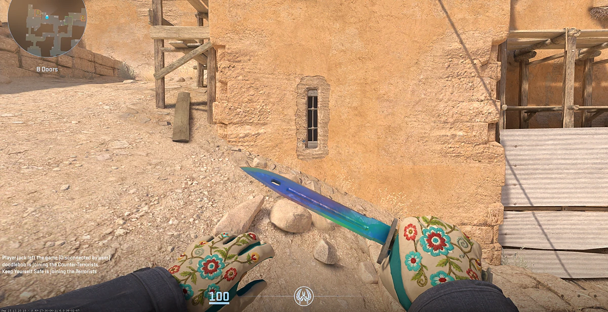 Driver Gloves Garden with Bayonet | Gamma Doppler Phase 1 in CS2
