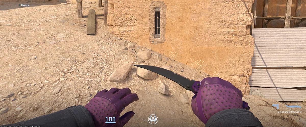 Driver Gloves Plum Quill with Flip Knife | Ultraviolet in CS2