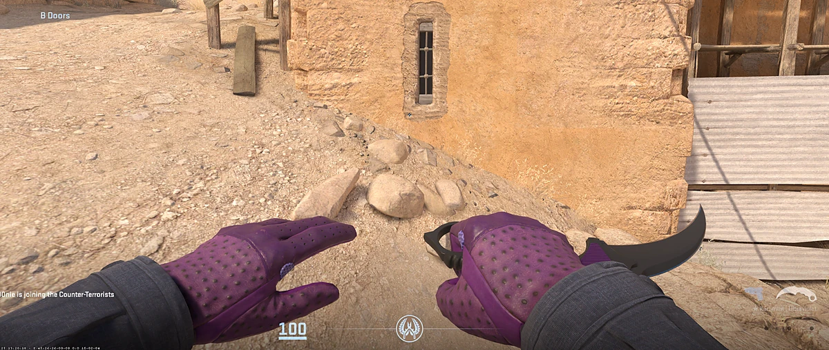 Driver Gloves Plum Quill with Karambit | Ultraviolet in CS2
