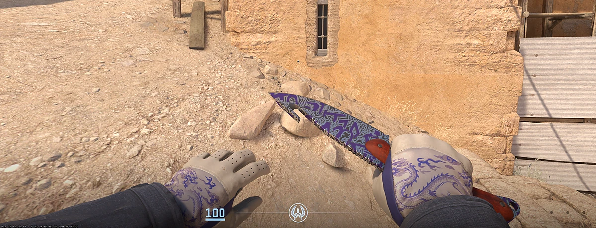 Driver Gloves Wave Chaser with Gut Knife | Freehand in CS2