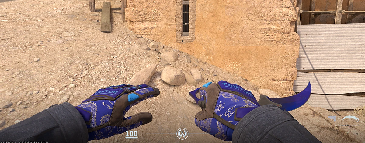 Specialist Gloves Cloud Chaser with Karambit | Doppler Phase 4 in CS2