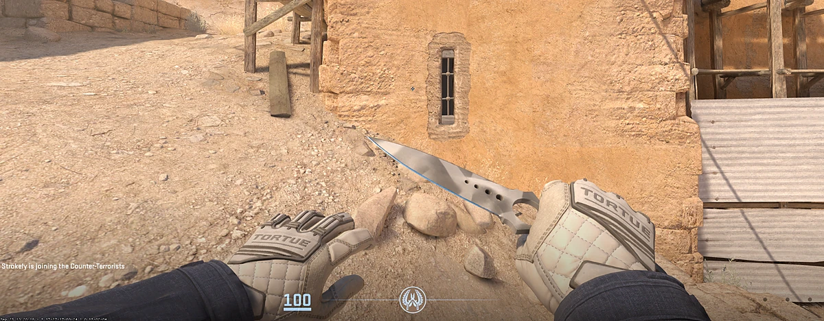 Specialist Gloves Pillow Punchers with Skeleton Knife | Urban Masked in CS2