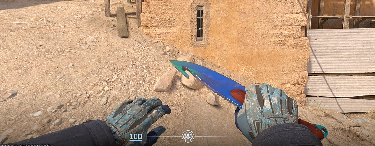Sport Gloves Frosty with Gut Knife | Gamma Doppler Phase 1 in CS2