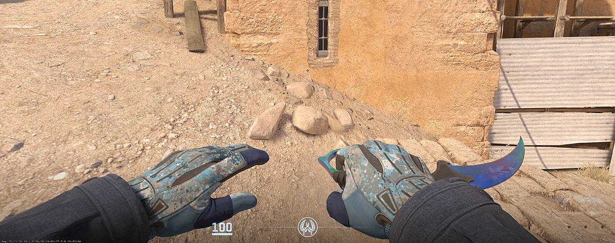 Sport Gloves Frosty with Karambit | Gamma Doppler Phase 1 in CS2