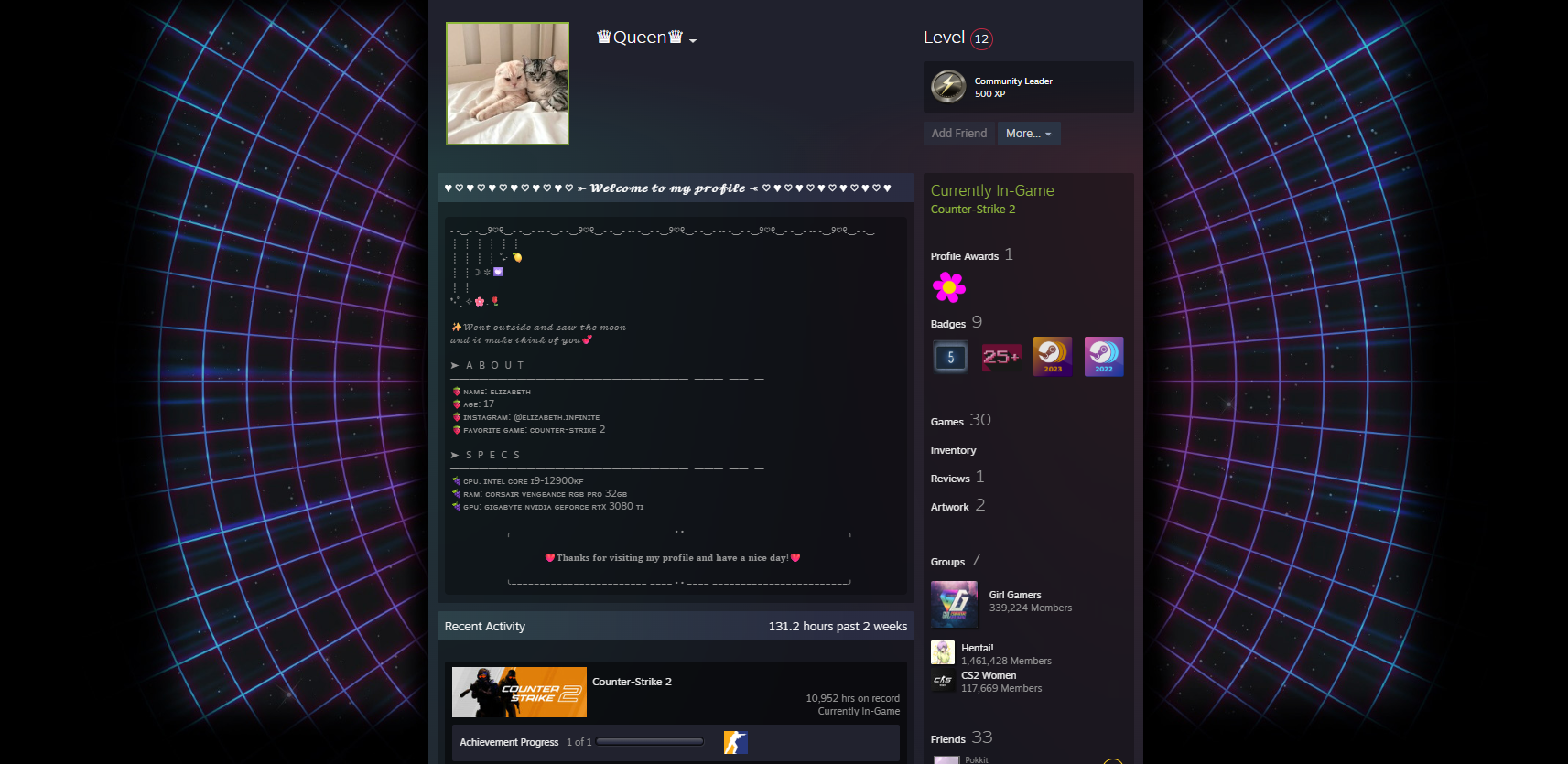 Example of a scam Steam account